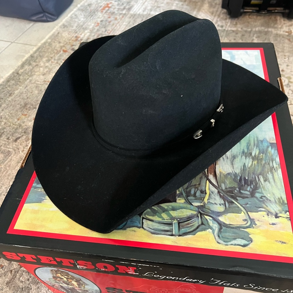 Stetson American Buffalo Collection Hat in Black Buffalo Felt
